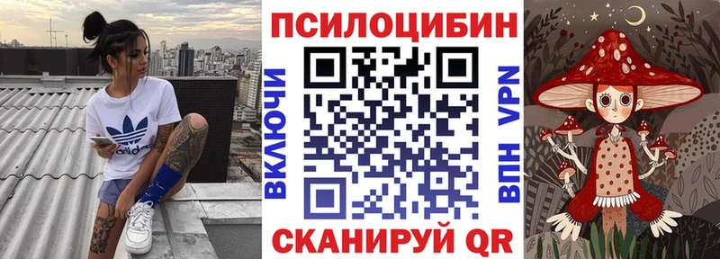 Галлюциногенные грибы Psilocybine cubensis  Новая Усмань 